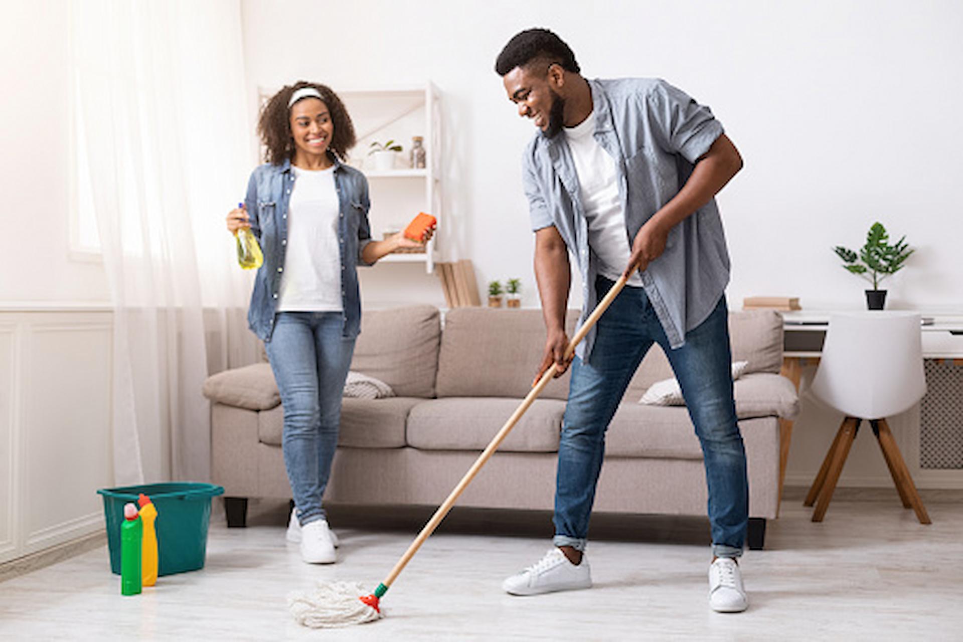 domestic housekeeper