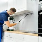 pest control