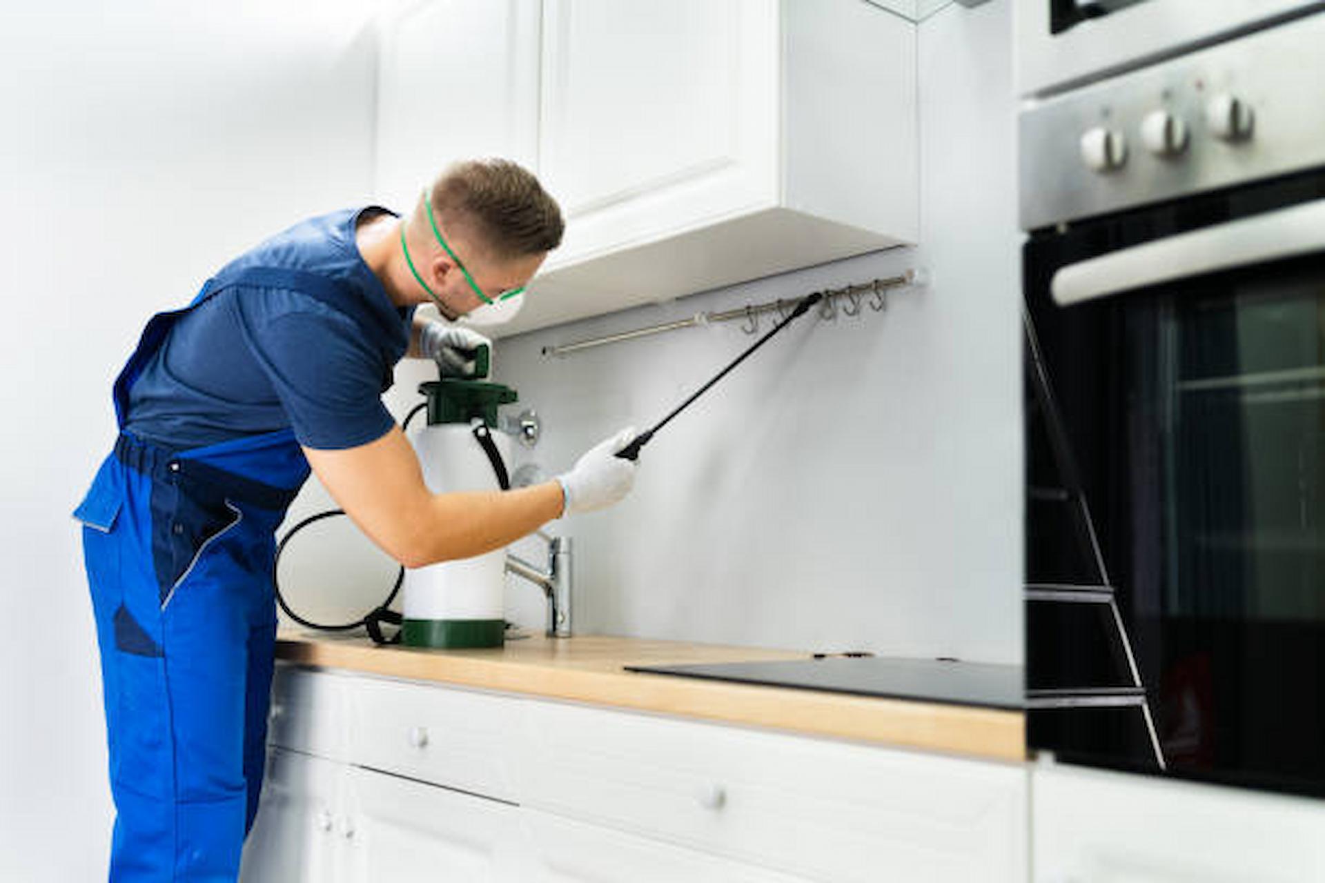 pest control